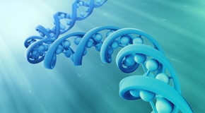 DNA strand model - genetics concept
