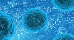 stem-cell-163711_290_160